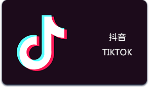 {【抖店日咨询量怎么查】抖店飞鸽日均询单量，客服每日接待量查询方法